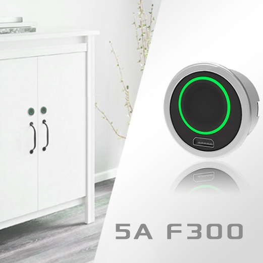 Smart high quality drawer chest fingerprint lock 5A F300
